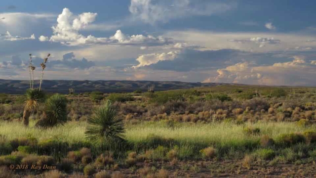 desert plains