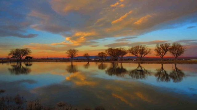 pond at sunrise