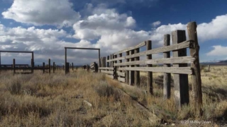 Photo by Ray Dean stock yards